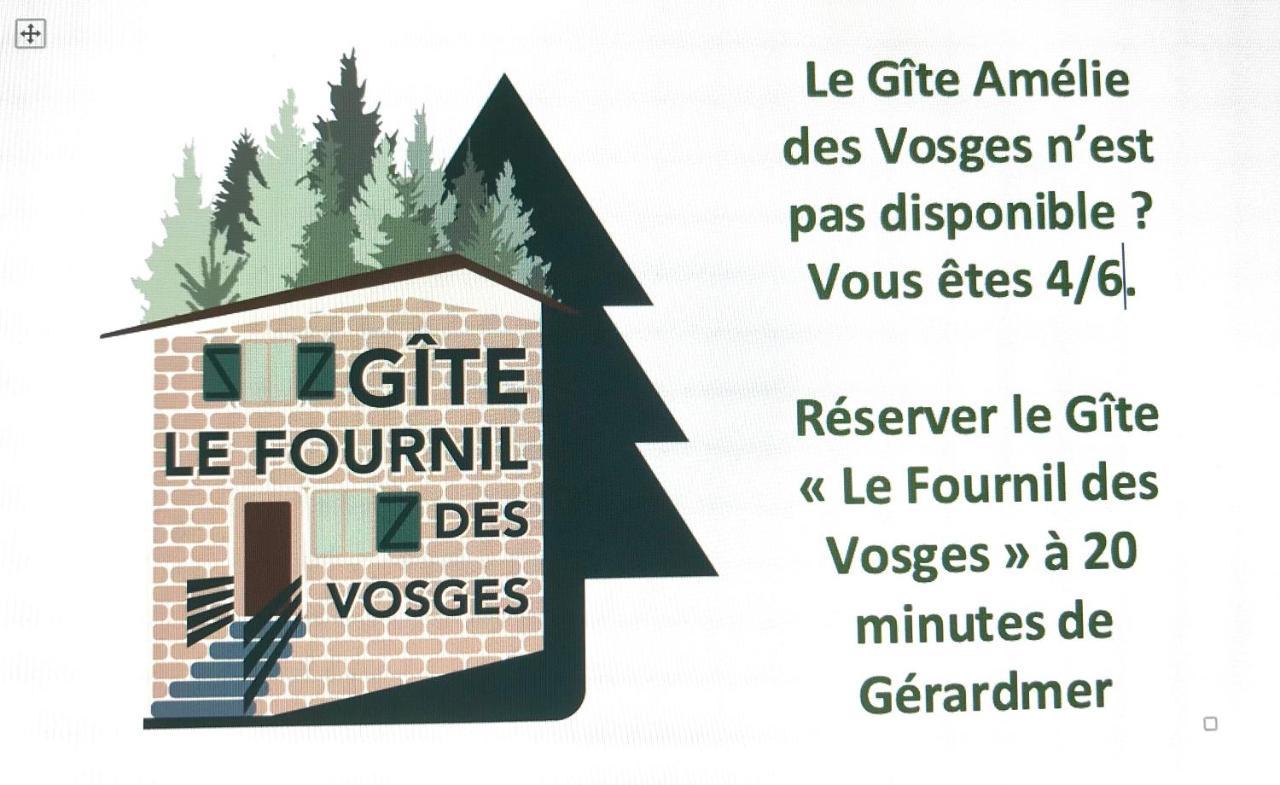 Gite Amelie, Sauna, Spa Au Coeur Des Vosges Housseras 外观 照片